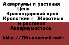 Аквариумы и растения › Цена ­ 21 000 - Краснодарский край, Кропоткин г. Животные и растения » Аквариумистика   